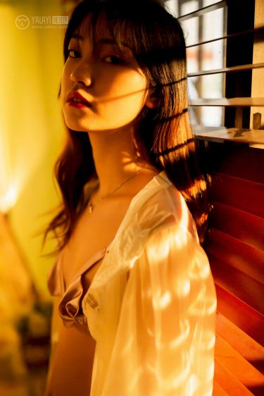 亲爱的律师大人陆承泽免费阅读